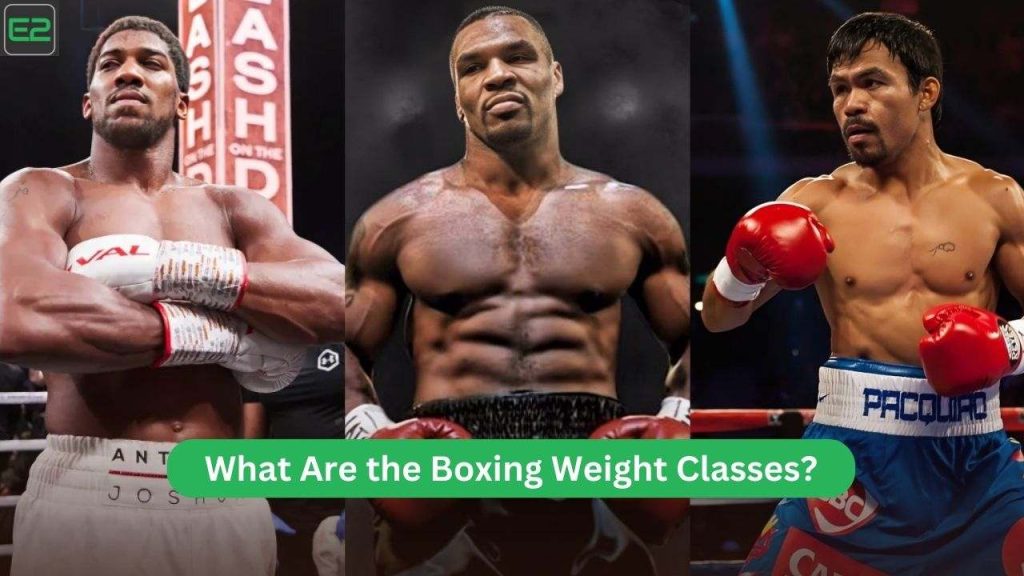 Boxing Weight Classes