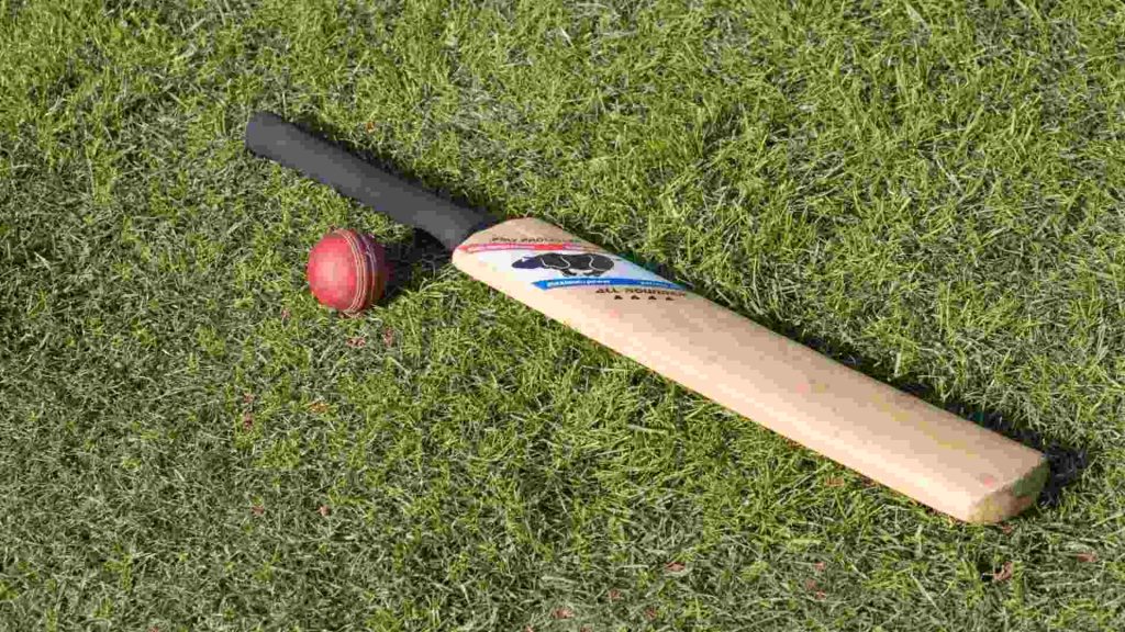 Most Expensive Cricket Bats